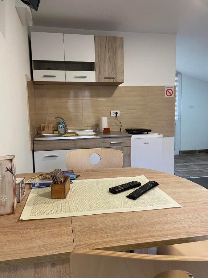 Vila Nika Crni Vrh Kültér fotó