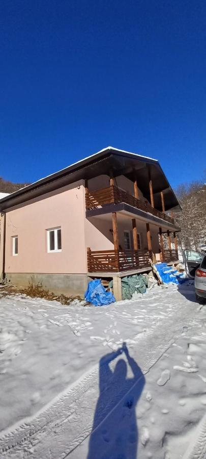 Vila Nika Crni Vrh Kültér fotó